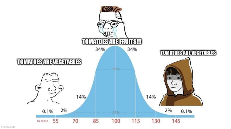 Are tomatoes fruits or vegetables? Internet says yes - meme