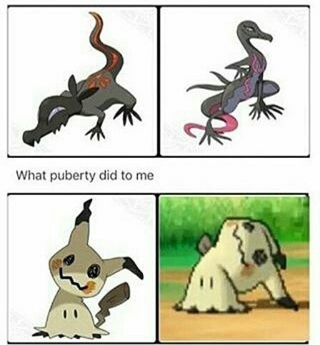 Mimikyu  Know Your Meme