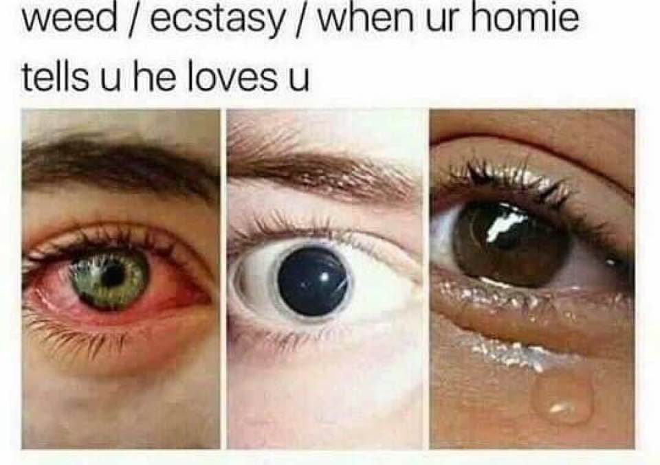 Homo homie - meme
