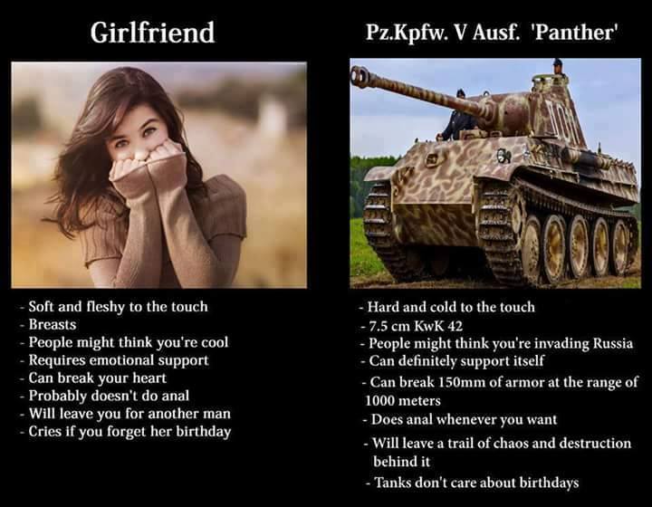 Panzer V Panther > girlfriend - meme