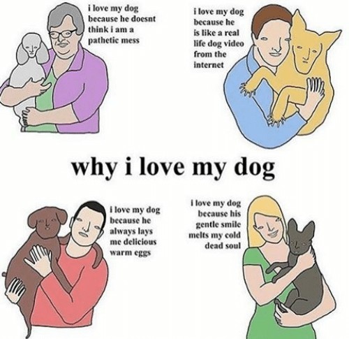 Why do you love your dog? - meme