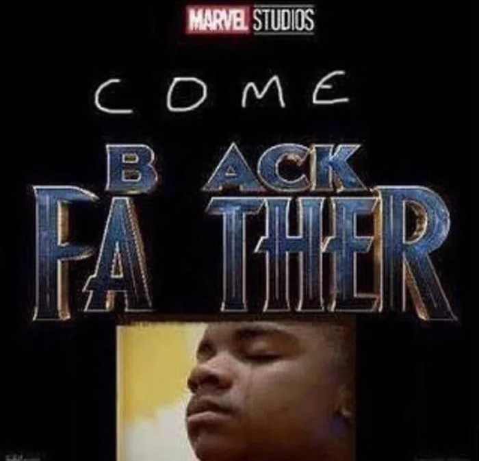 New Marvel Movie - meme