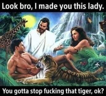 Tiger Blood - meme