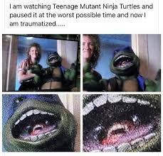 turtle - meme