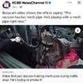 commented item thumbnail