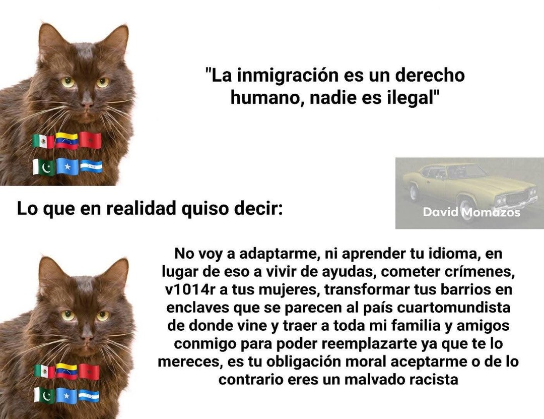 No sé yo no vivo en condiciones precarias - meme