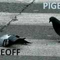 J'aime les pigeons ._.
