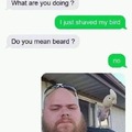 Don't shave your birds