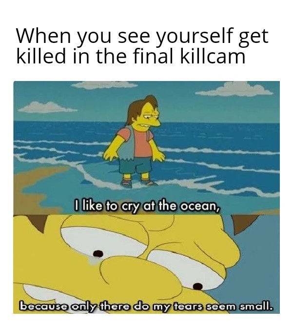 I like to cry at the ocean - meme