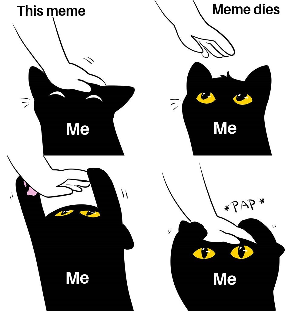 Pretty kitty - meme