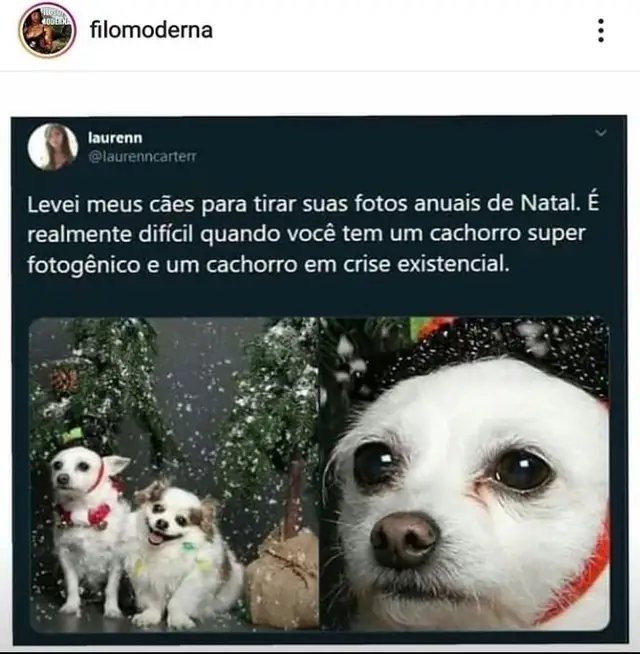 Umilado memes. Best Collection of funny Umilado pictures on iFunny Brazil