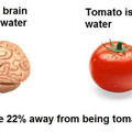 Human brain vs tomato