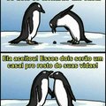Pipipipipririripipi Pingu Pingu