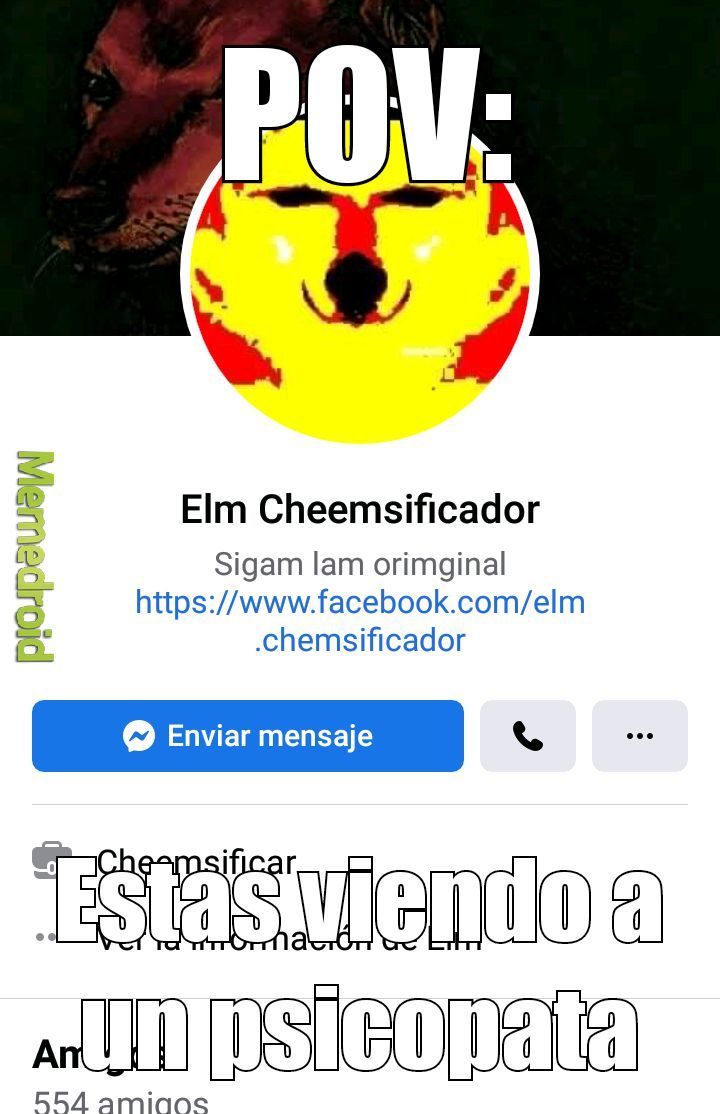 Yo soy amigo de elm cheemsficador XD - meme