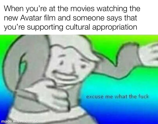cultural appropriation? - meme