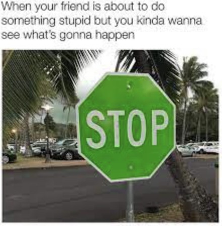 Stop? - meme