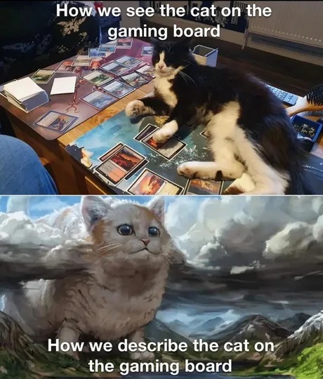 Cat on the gaming board - meme