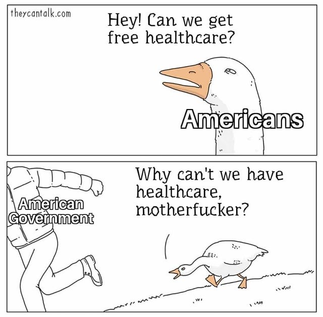 Healthcare - meme
