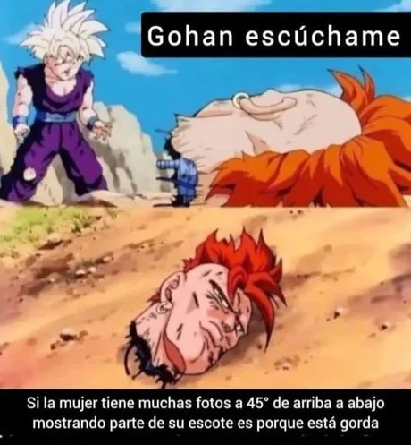 Escuchame Gohan, debes saber esto sobre el selfie de algunas mujeres - meme