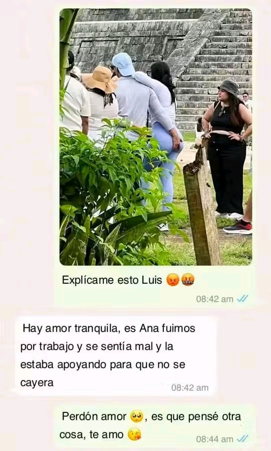 Fácilmente manipulable - meme