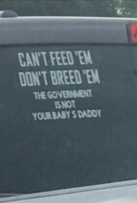 The government is not your baby's daddy - meme
