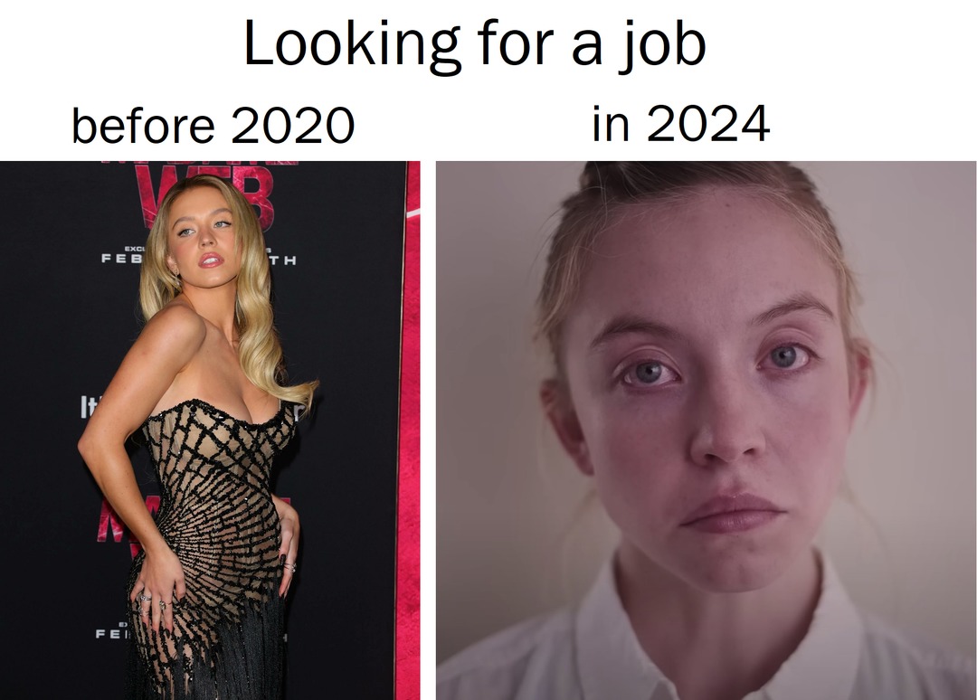 Looking for a job before 2020 and in 2024 - meme