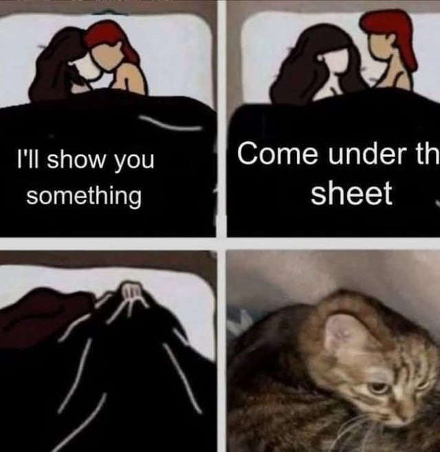 I’ll show you... come under the sheet - meme