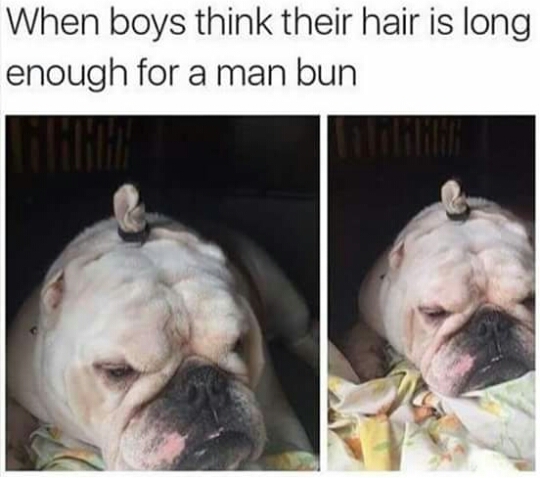 Boys and their buns - meme