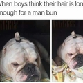 Boys and their buns