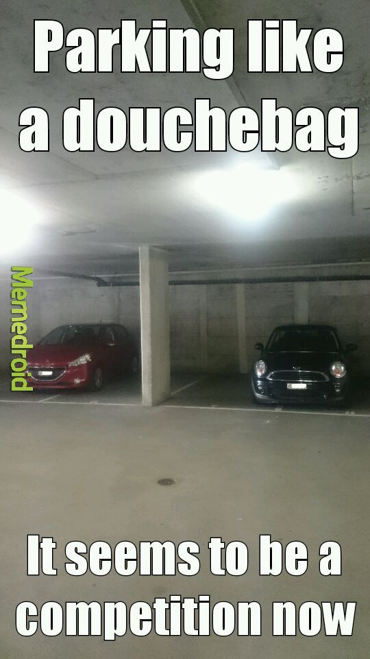 Greetings from Switzerland...douchebags are everywhere... - meme