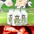 Rica leche