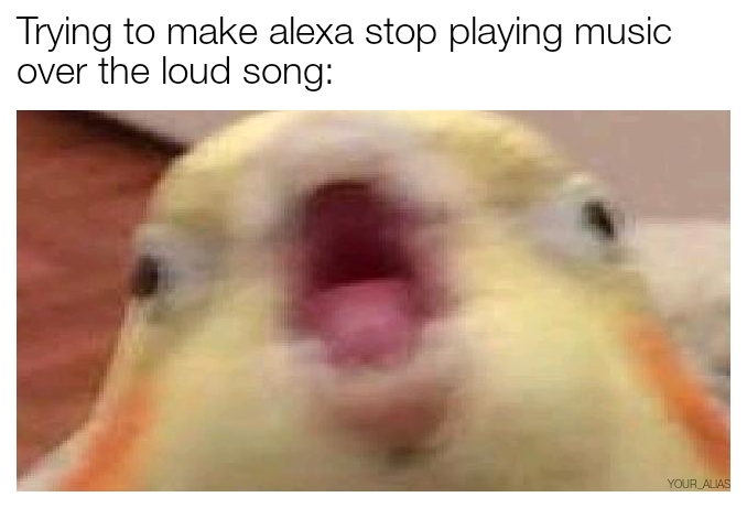 Alexa stop - meme