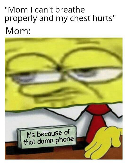 It is all because that phone - meme