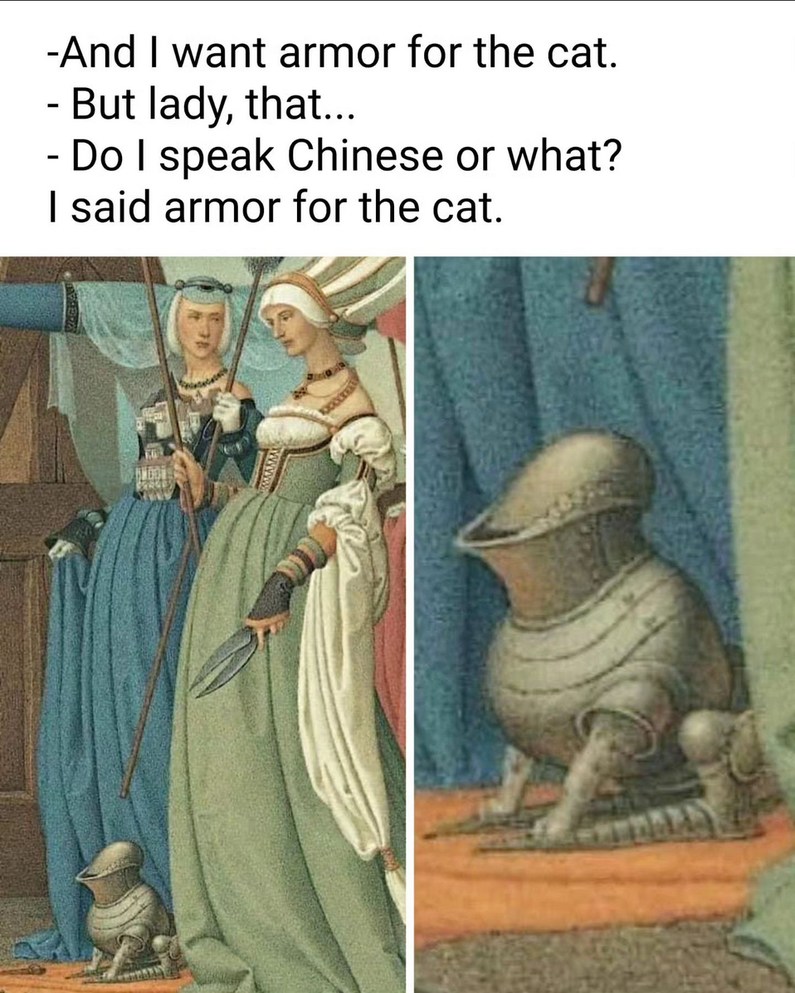 Armor for the cat! - meme