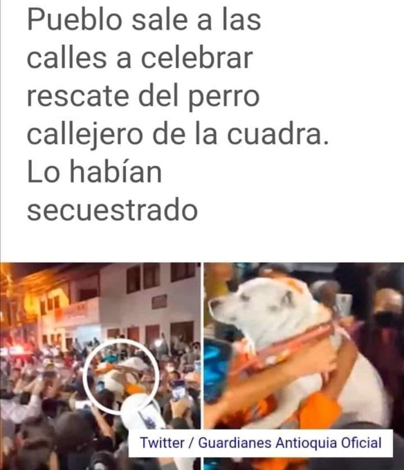 Pueblo sale a celebrar que recuperaron a pueblo secuestrado! - meme
