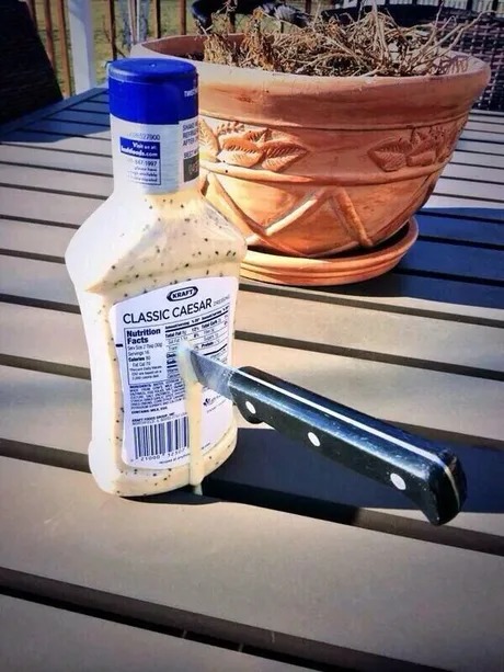 Julius Caesar meme