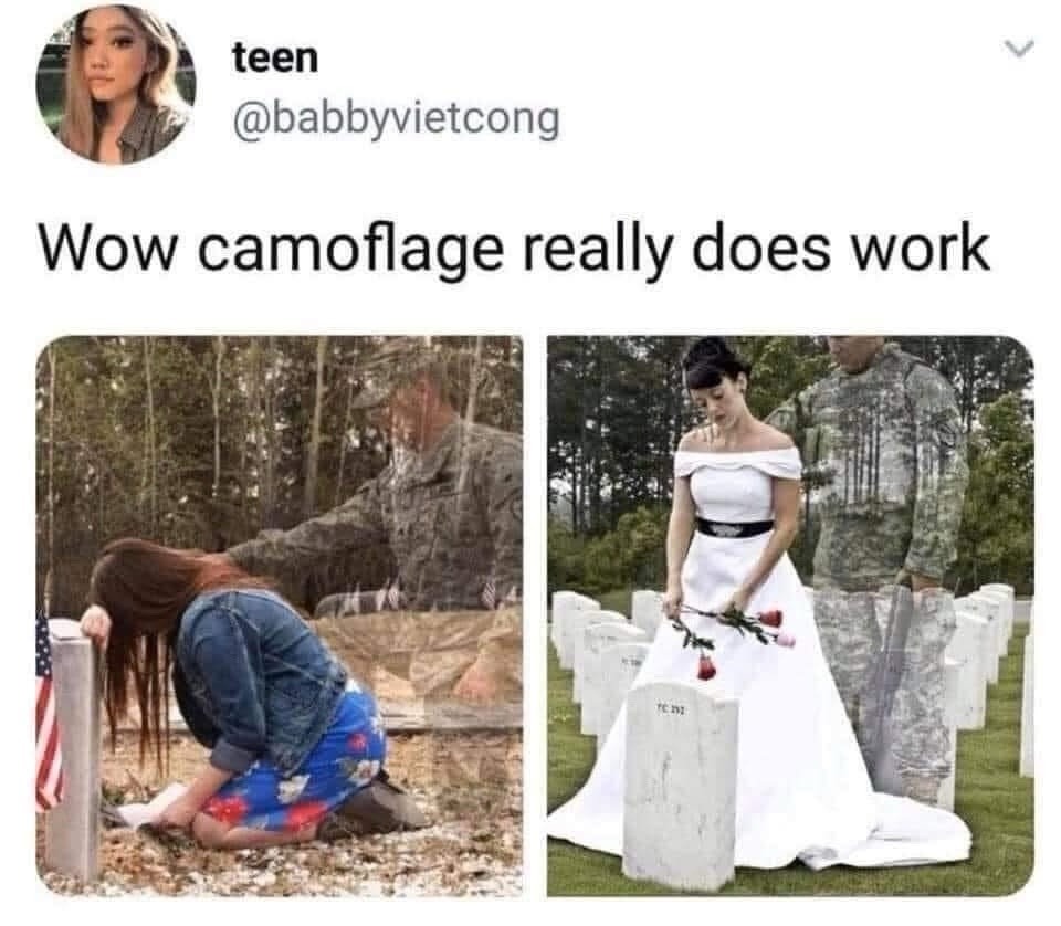 Camouflage working so well I started questioning reality - meme