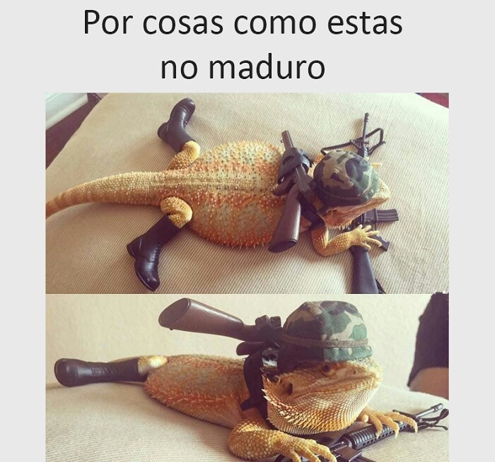 Call of iguana :v - meme