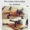 Call of iguana :v