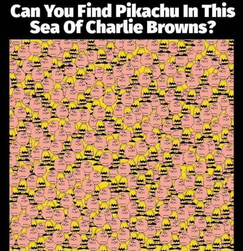 It took me seconds to find the pikachu - meme