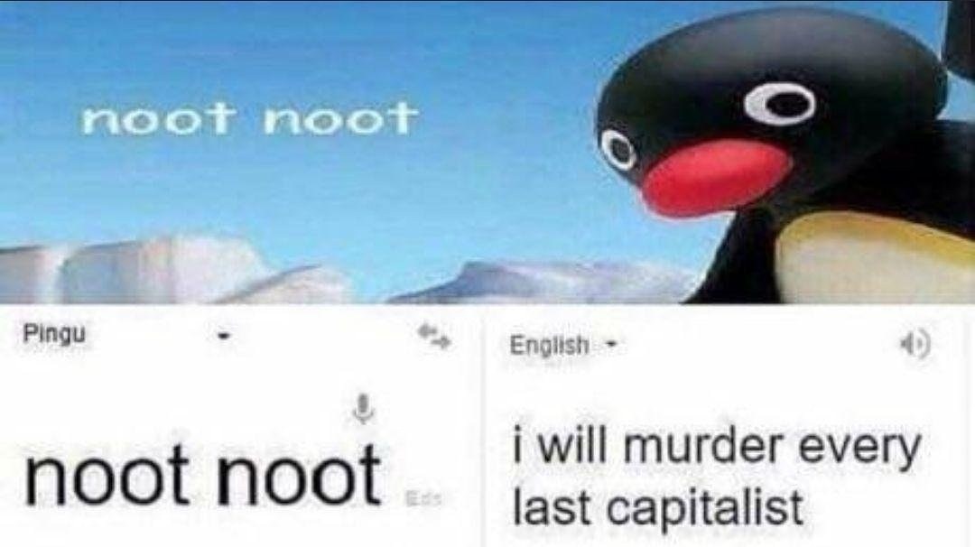 Listen to Noot Noot - meme