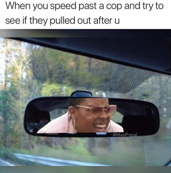 Most expensive speeding ticket? - meme