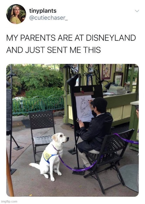 My parents are at Disneyland are just sent me this - meme