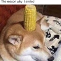 ha corn dog
