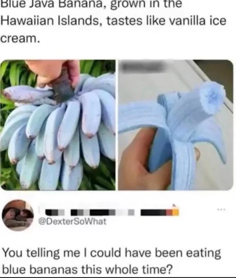 There are blue bananas out there - meme
