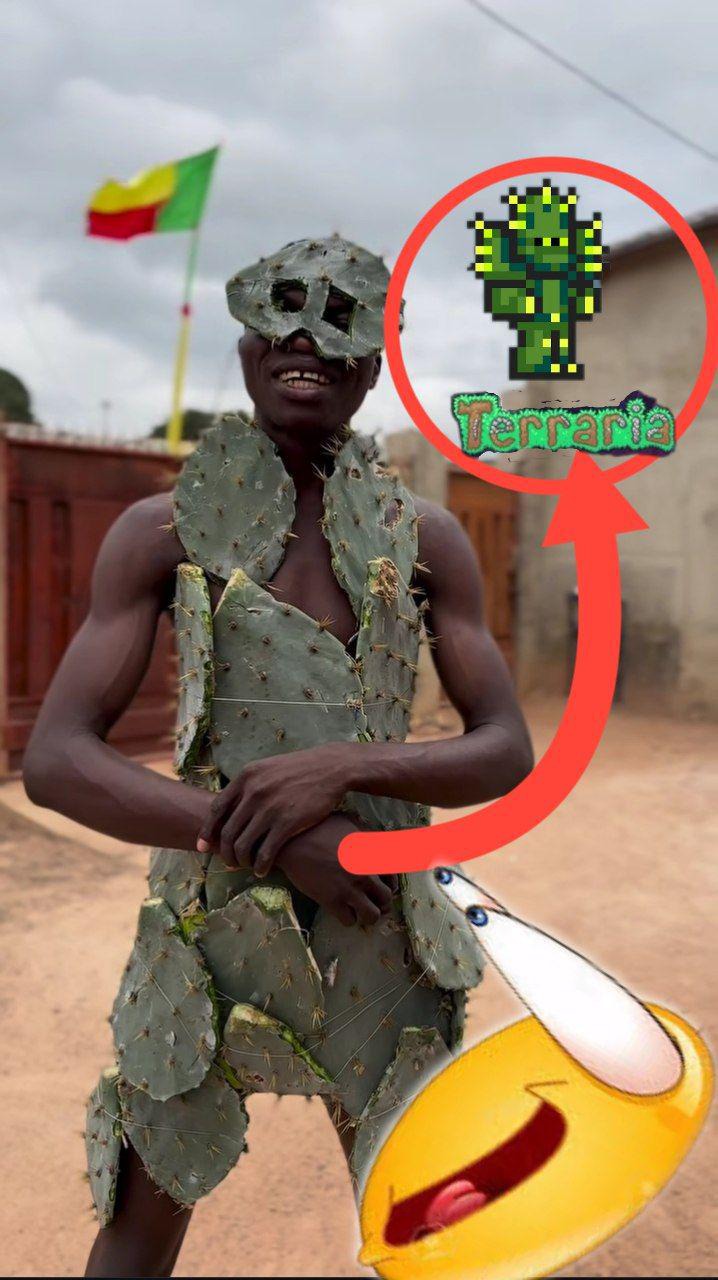 Armadura Cactus Del Terraria - meme