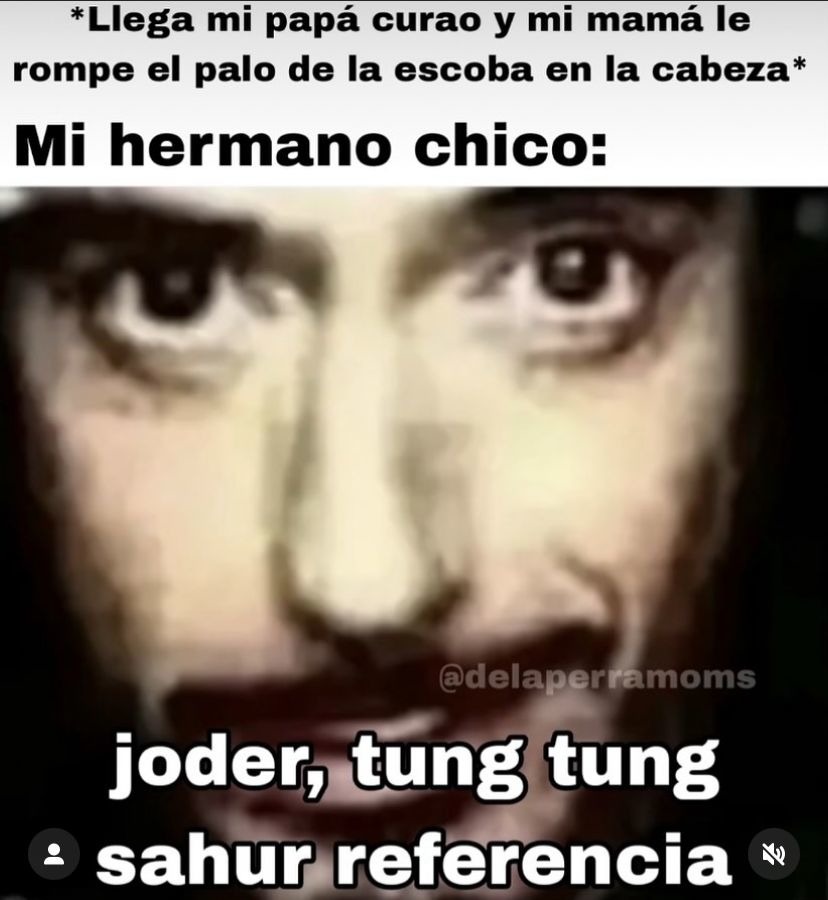 No más brainrot - meme