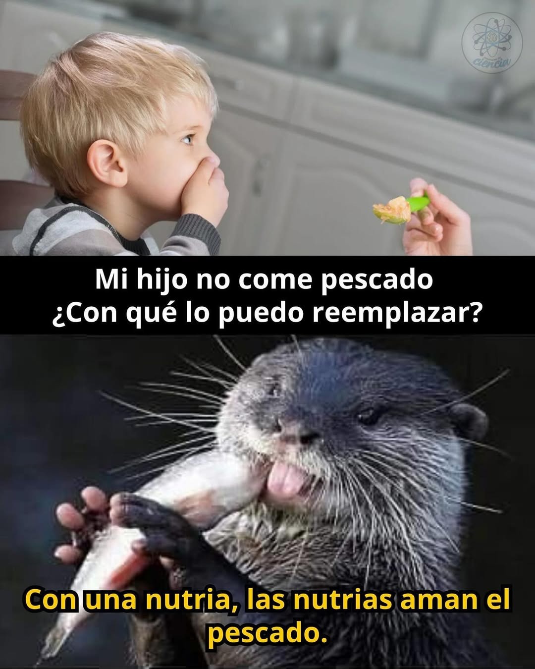 nutria nutricionista - meme