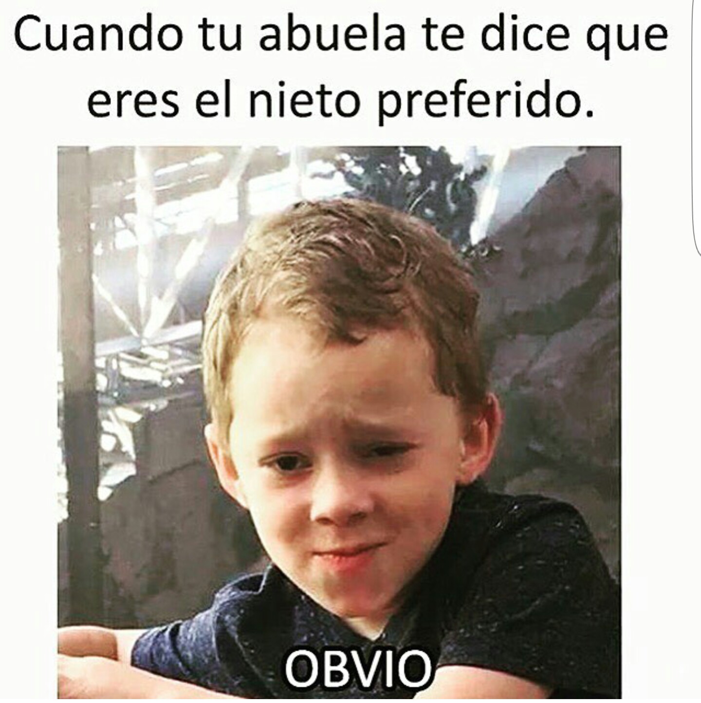 Obveo zi - meme