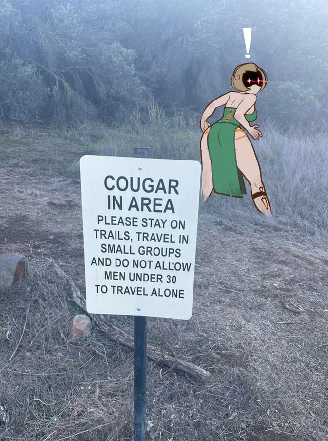 Cougar - meme